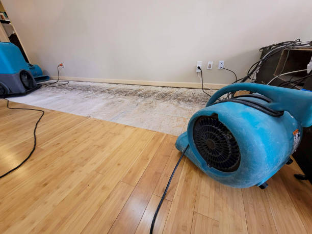Professional Water Damage Repair technician working in East Spencer, NC